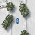 Snow Drift Racing Game
